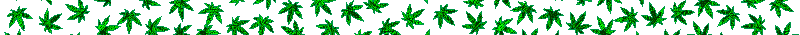 divider