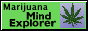 mind explorer