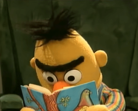 Yellow Bert Muppet gif where he looks up from reading a book