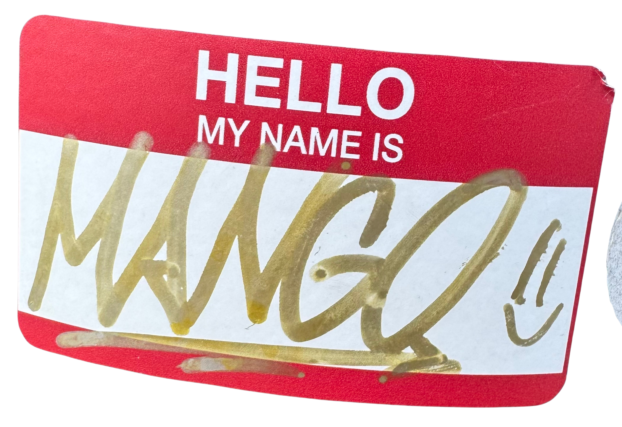 Hello my name is Mango